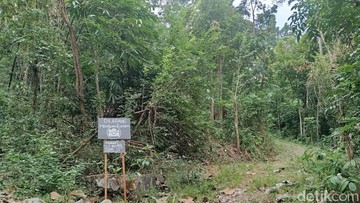 Kampung mati Padukuhan Nglepen dan sebagian Sengir, Kelurahan Sumberharjo, Kapanewon Prambanan, Kabupaten Sleman(Achmad Husein Syauqi/detikJogja)