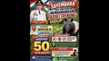 Sayembara tangkap tapir hidup-hidup berhadiah Rp50 juta (dok. Istimewa)