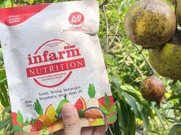 Solusi Cerdas Berkebun Urban: Dari Teras Rumah Menuju Gaya Hidup Berkelanjutan Mandiri Pangan