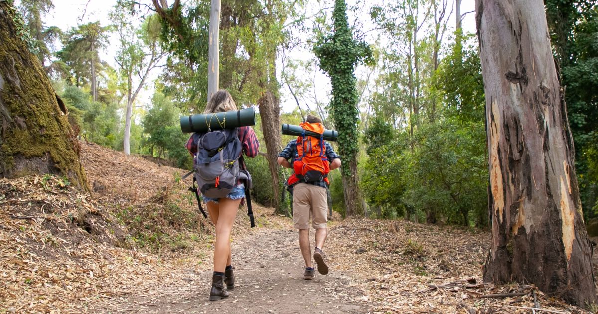 5 Manfaat Hiking untuk Kesehatan Tubuh yang Efektif Hilangkan Stres