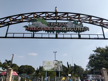 Pintu Masuk Ragunan Foto dari Vannisa Paramitha Junaidi