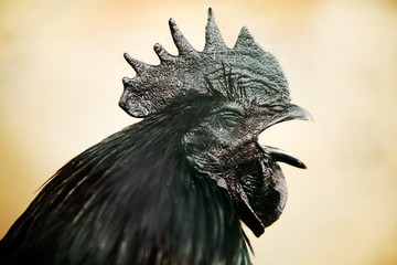 Foto: iStock