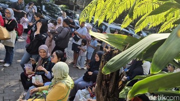 Ilustrasi (Ari Saputra/detikcom)
