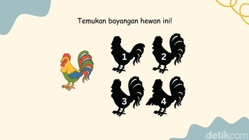 Uji Ketajaman Visual Anda: Asah Kejelian Detil Lewat Permainan Bayangan