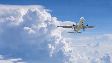 Foto: Getty Images/iStockphoto/npstockphoto