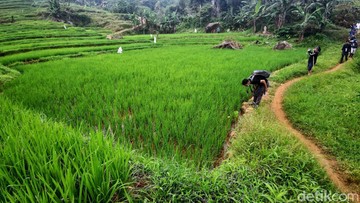 Jelajahi Keindahan Alam Bogor: Panduan Lengkap Trekking Menawan di Sentul