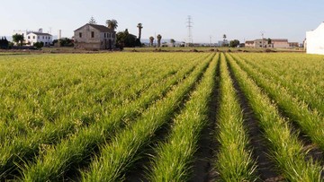 Kota Foios, Spanyol. (Turisme Comunitat Valenciana)