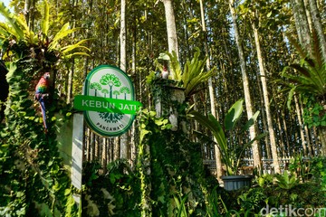 Desa Pancawati di Kecamatan Caringin, Kabupaten Bogor, terus bertransformasi menjadi salah satu destinasi wisata unggulan yang menggabungkan keindahan alam, fasilitas wisata modern, dan pemberdayaan masyarakat.