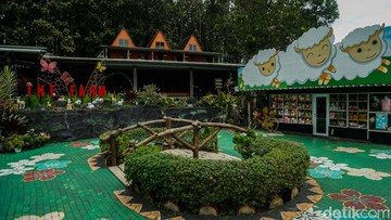 The Farm Pancawati. (detikcom/Rifkianto Nugroho)