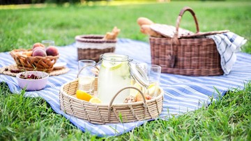 Breakfast in The Park (Getty Images/Evgeniia Siiankovskaia)