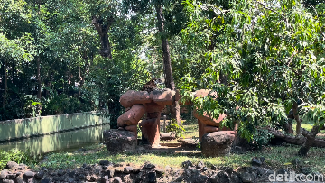 Kondisi satwa di KBS usai dugaan korupsi eks Dirut Rp 10,2 miliar (Foto: Mira Rachmalia/detikJatim)