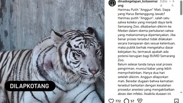 Foto: dok. tangkapan layar